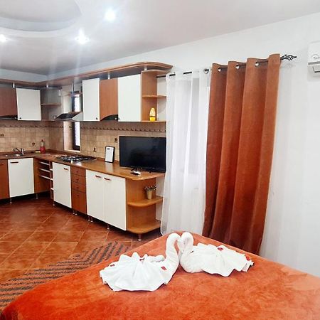 Pensiunea Red Rose Apartments Timișoara Zewnętrze zdjęcie