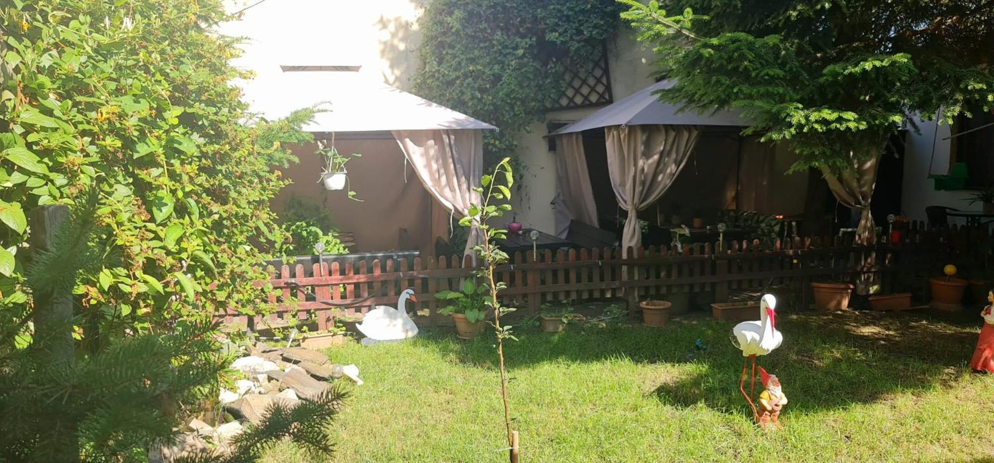 Pensiunea Red Rose Apartments Timișoara Zewnętrze zdjęcie