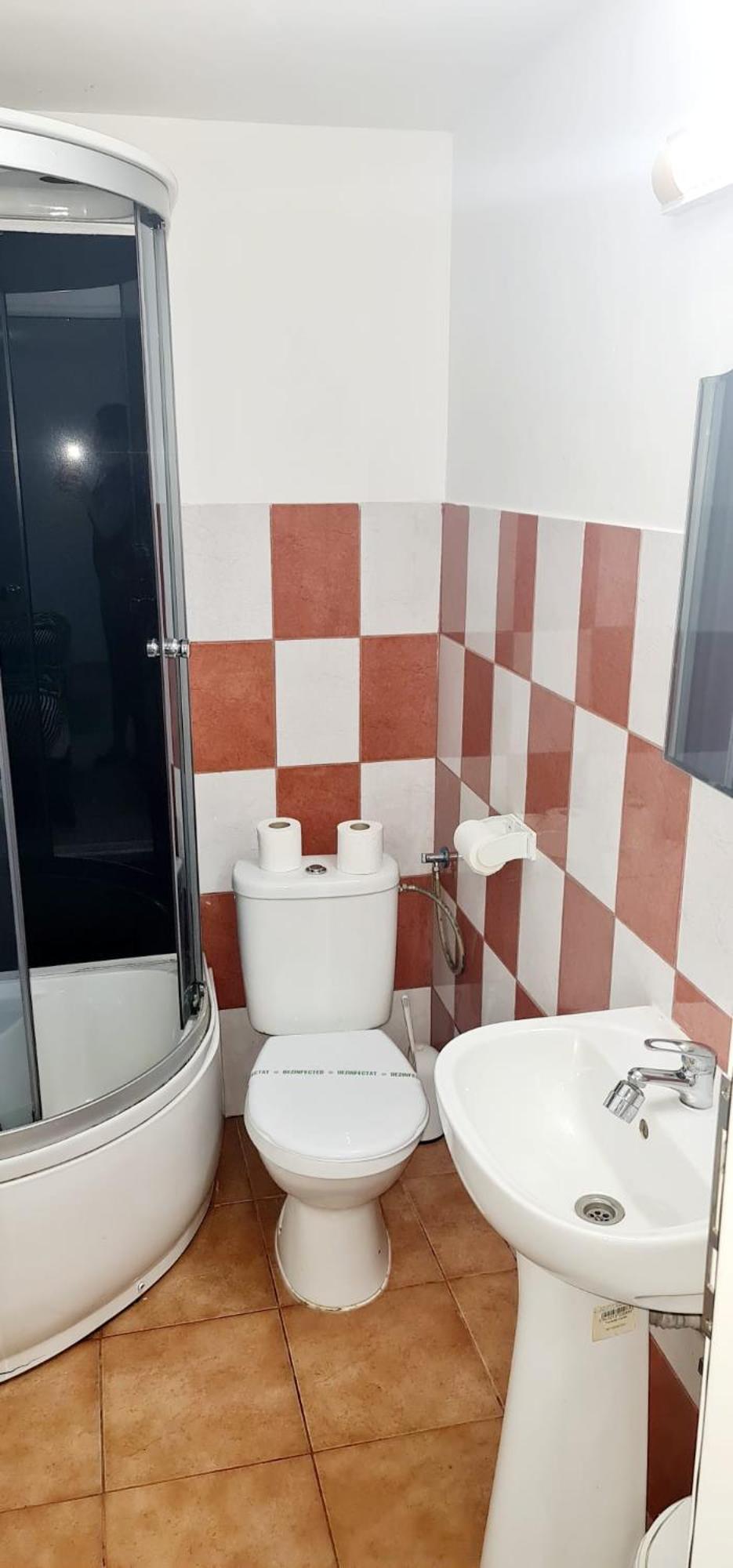 Pensiunea Red Rose Apartments Timișoara Zewnętrze zdjęcie