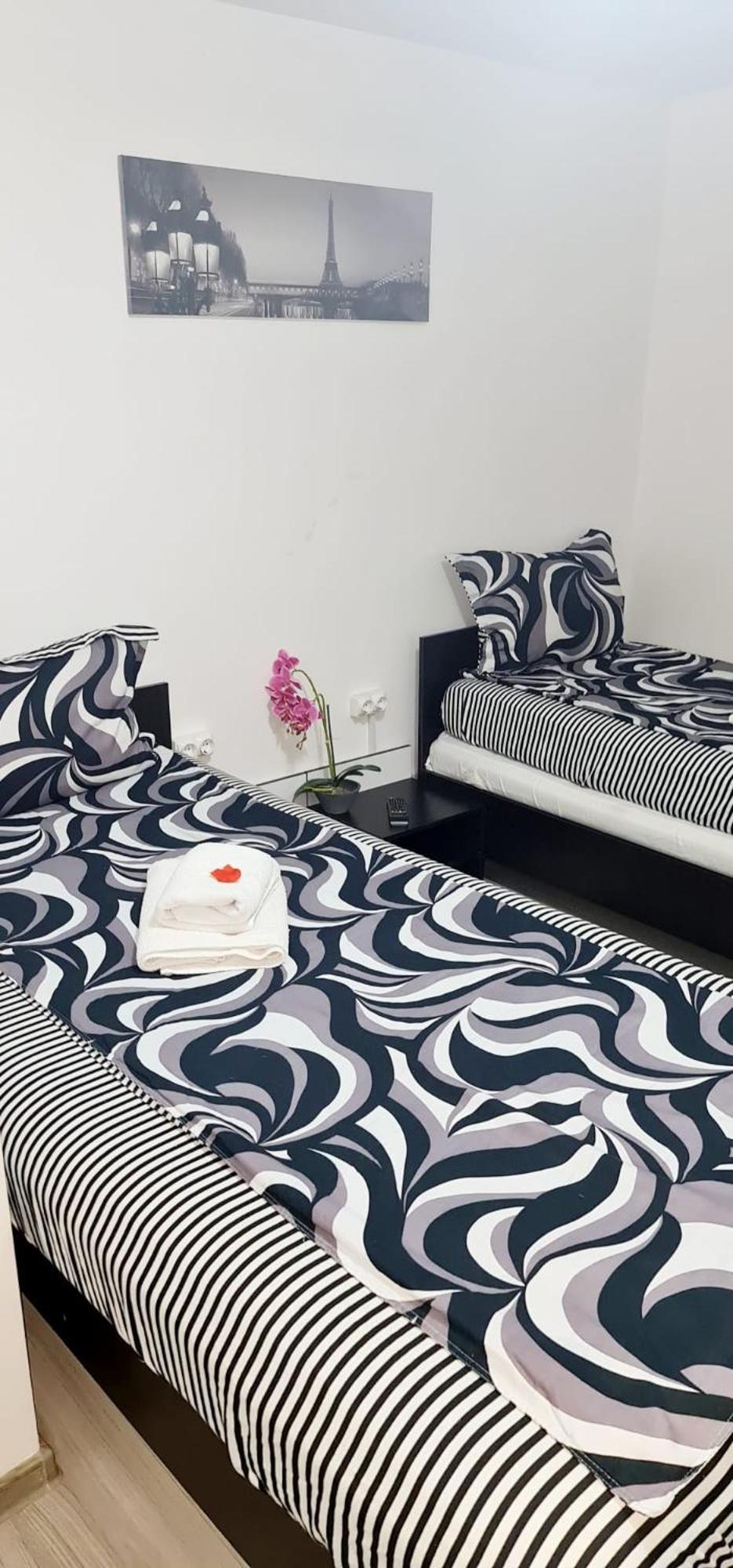 Pensiunea Red Rose Apartments Timișoara Zewnętrze zdjęcie