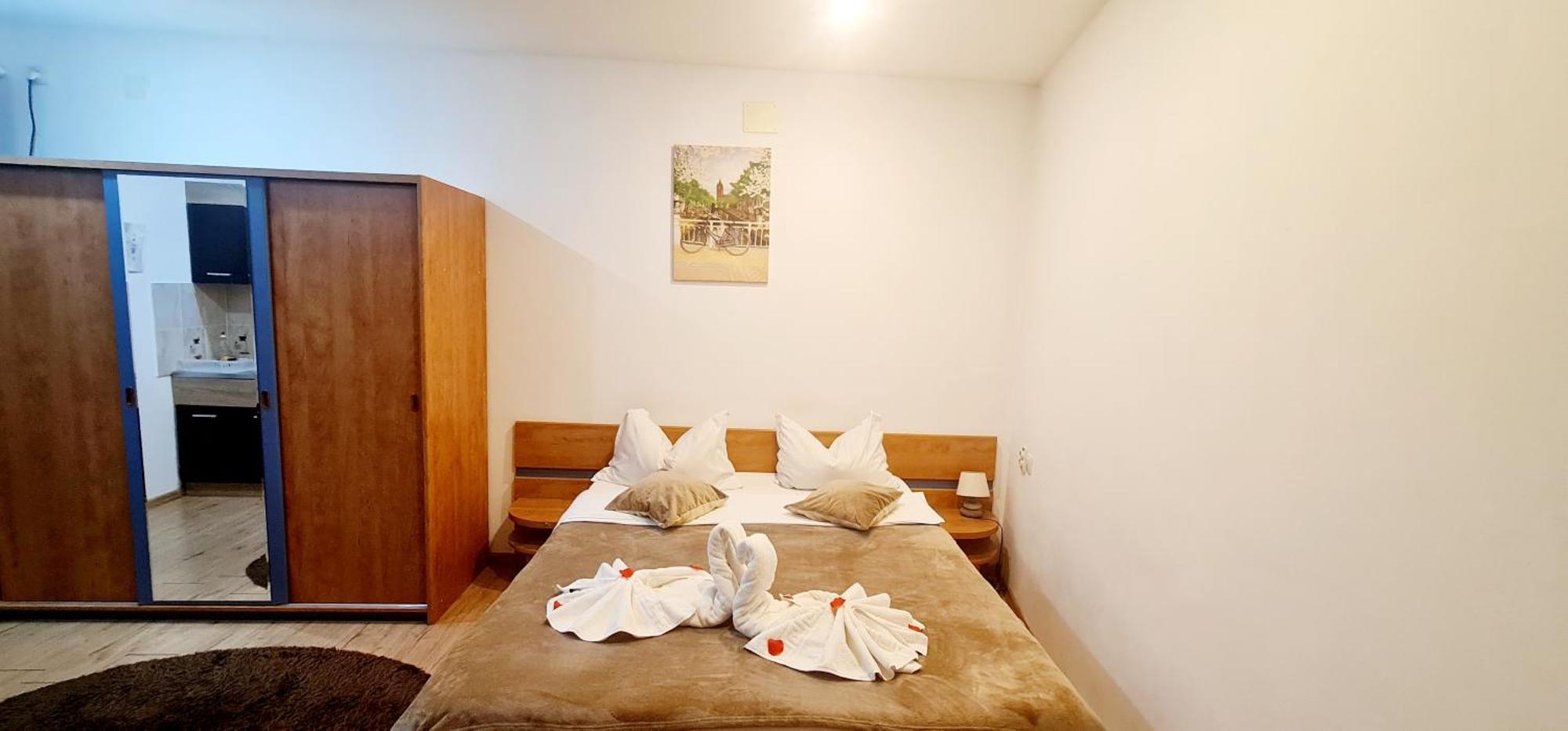 Pensiunea Red Rose Apartments Timișoara Pokój zdjęcie