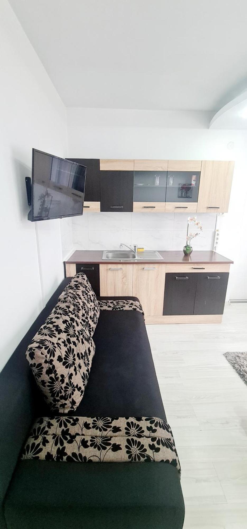 Pensiunea Red Rose Apartments Timișoara Zewnętrze zdjęcie