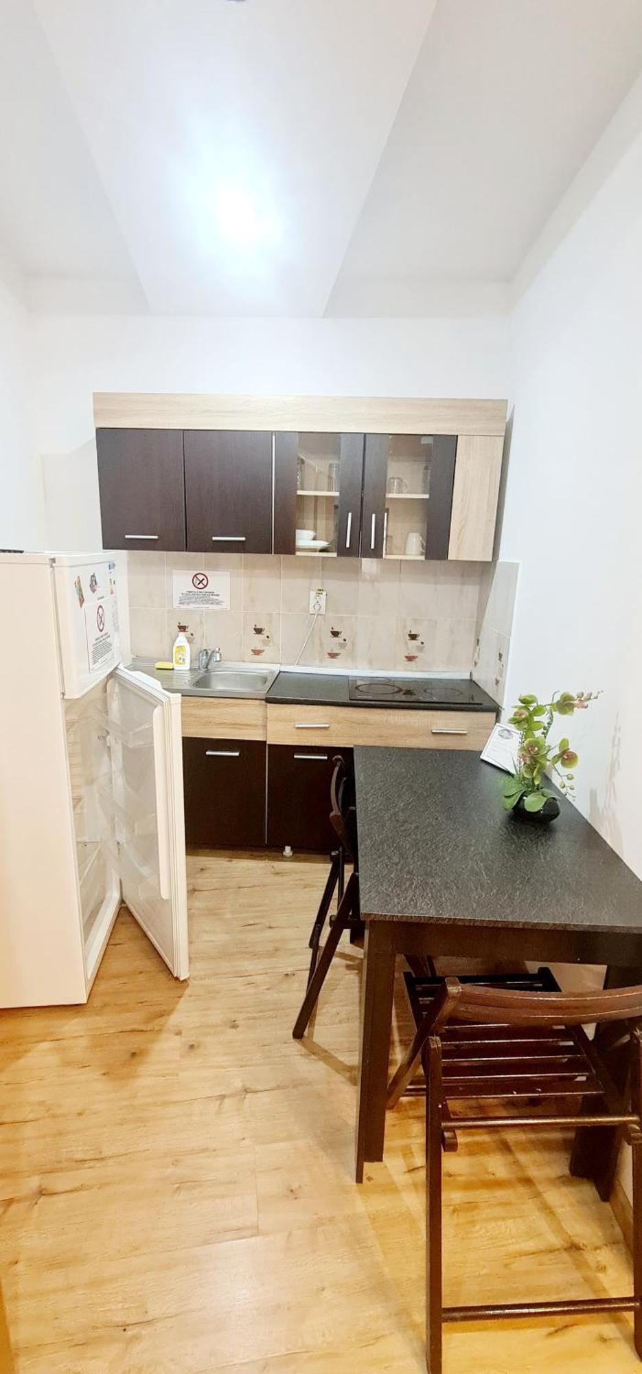 Pensiunea Red Rose Apartments Timișoara Zewnętrze zdjęcie