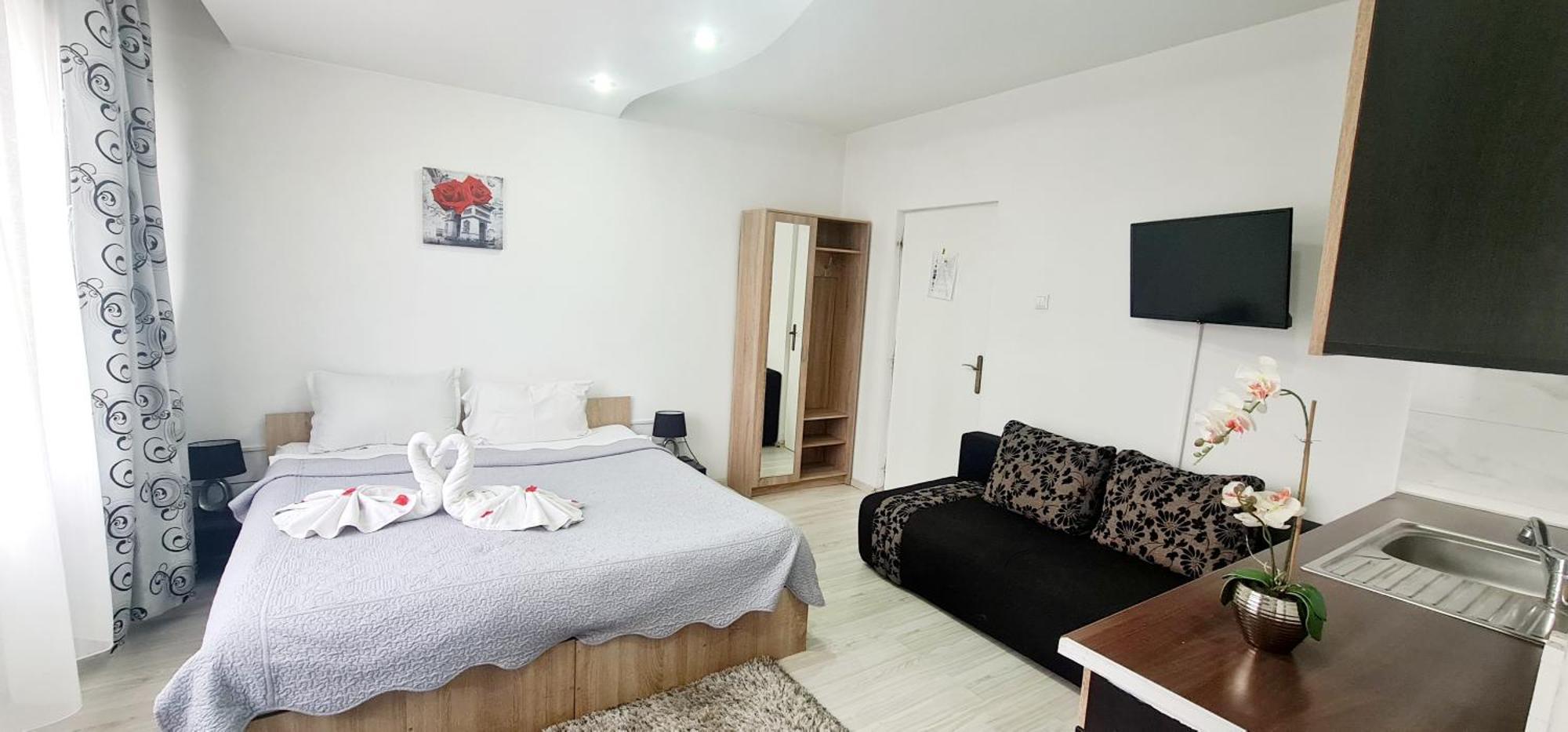 Pensiunea Red Rose Apartments Timișoara Zewnętrze zdjęcie
