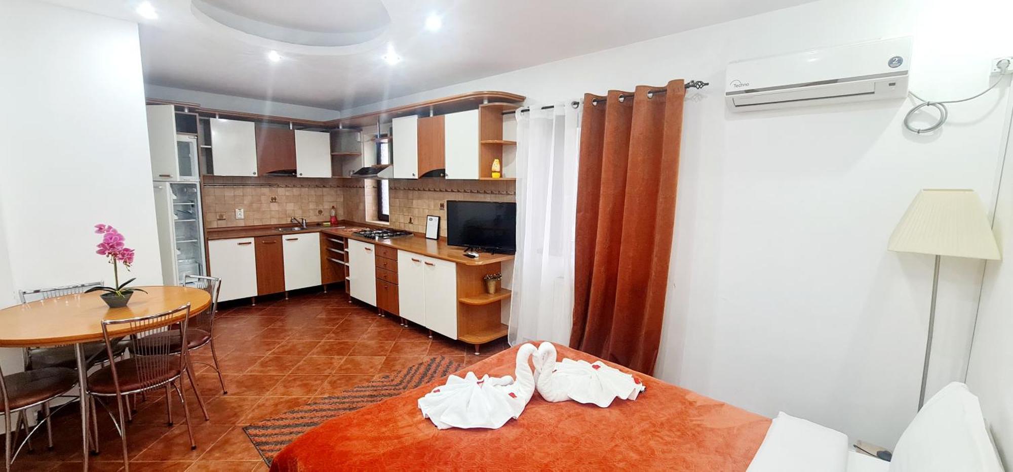 Pensiunea Red Rose Apartments Timișoara Zewnętrze zdjęcie