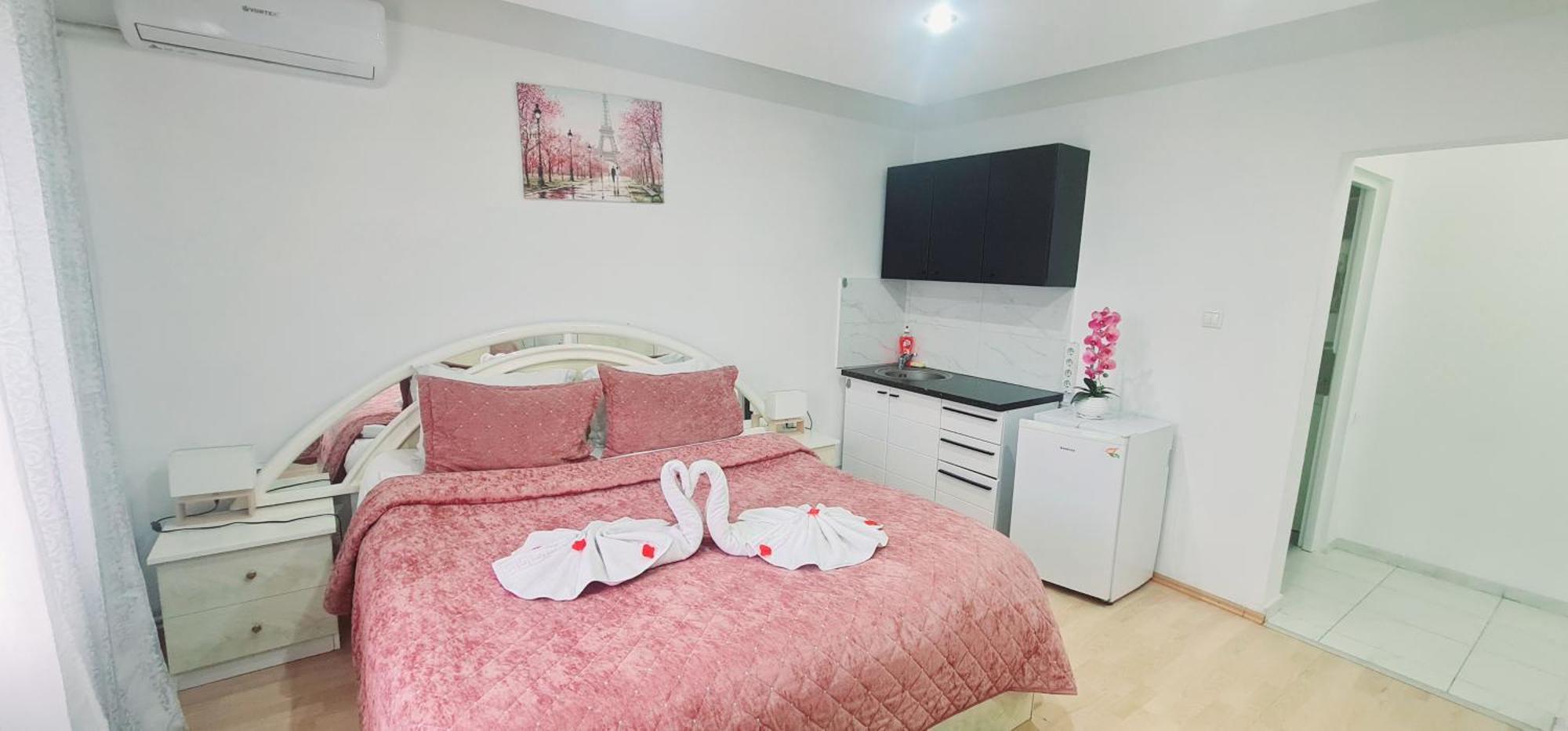 Pensiunea Red Rose Apartments Timișoara Zewnętrze zdjęcie
