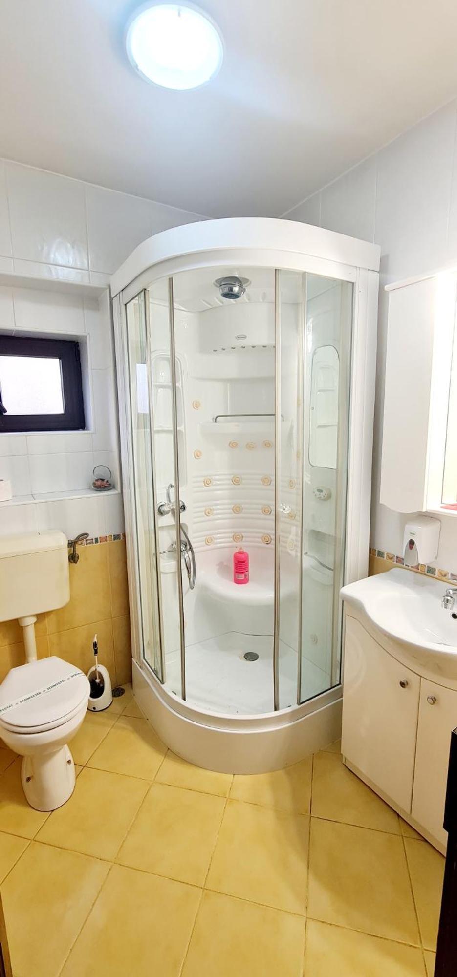 Pensiunea Red Rose Apartments Timișoara Zewnętrze zdjęcie