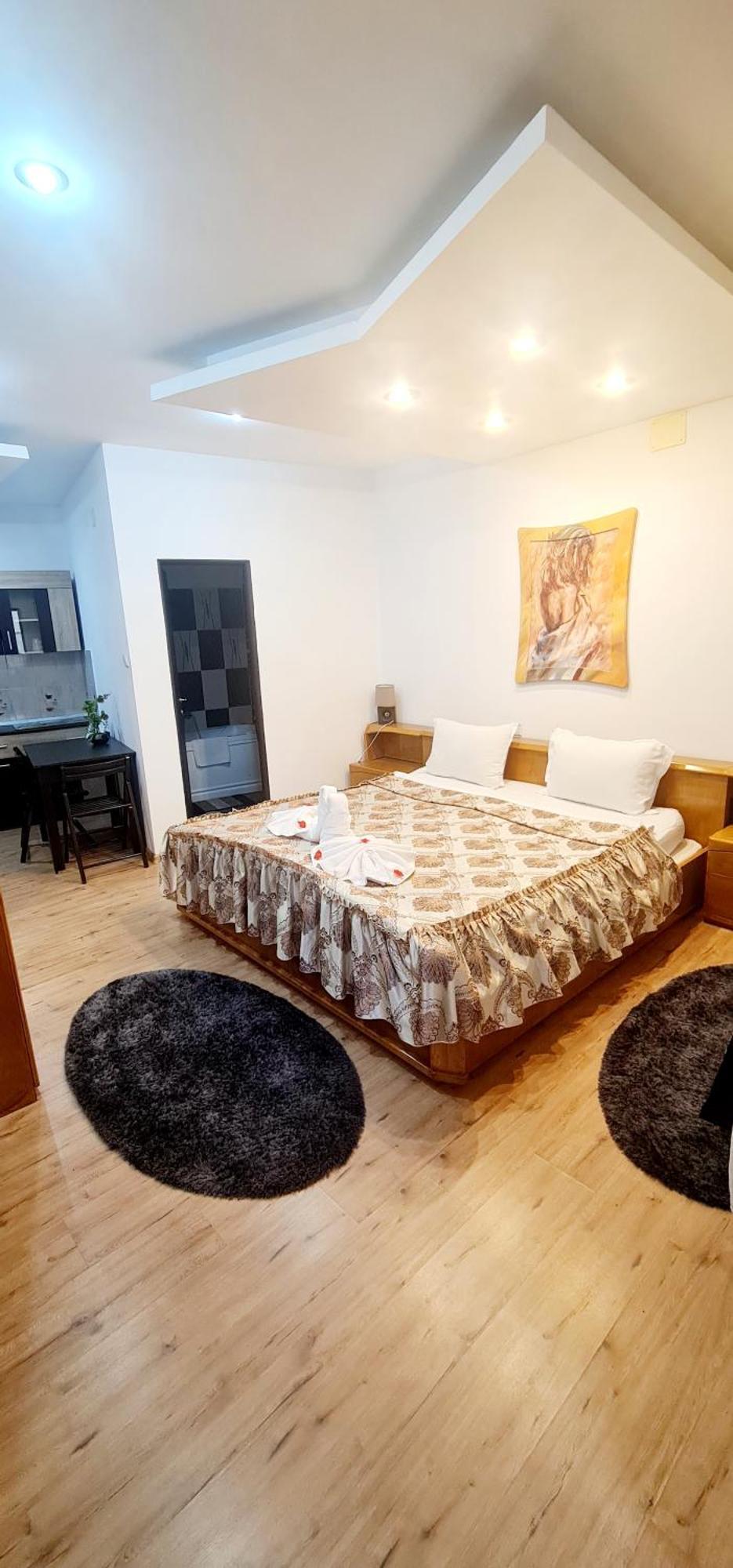 Pensiunea Red Rose Apartments Timișoara Zewnętrze zdjęcie